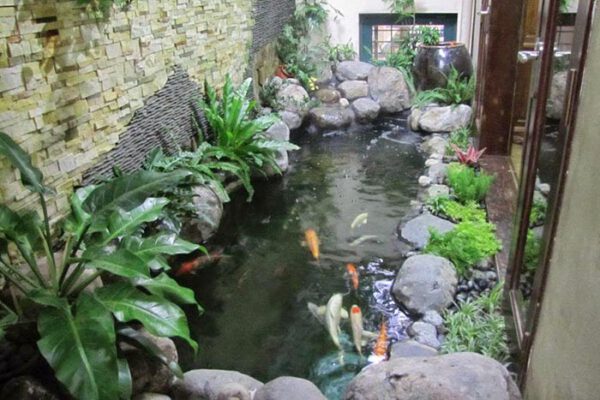 Thiết kế thi c&ocirc;ng hồ c&aacute; Koi tại Kon Tum