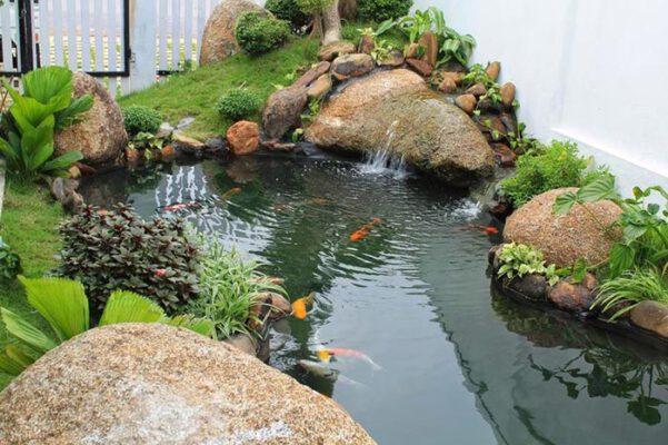 Thiết kế thi c&ocirc;ng hồ c&aacute; Koi tại Kon Tum