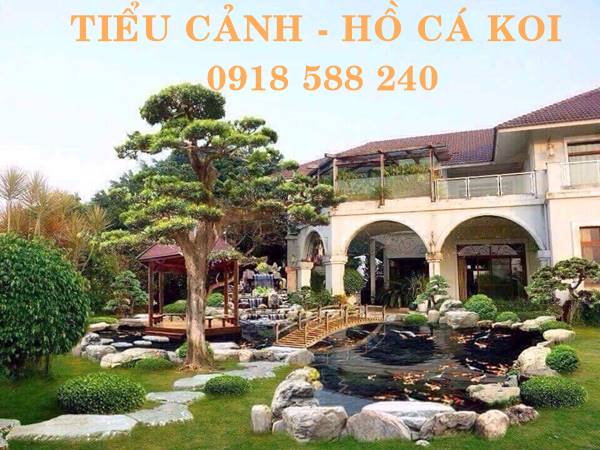 Thiết kế thi công hồ cá Koi tại Đại Lộc