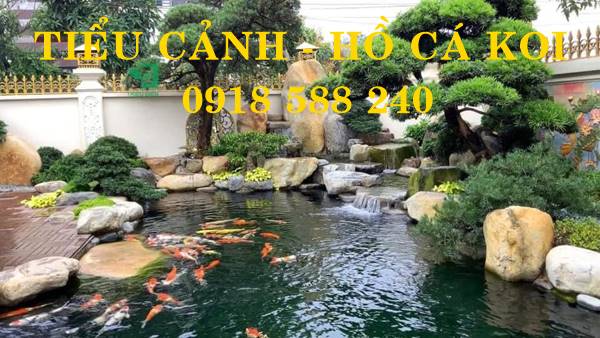 Thiết kế thi công hồ cá Koi tại Đại Lộc