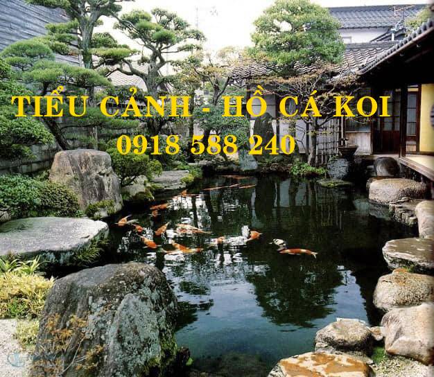 Thiết kế thi c&ocirc;ng hồ c&aacute; Koi tại Kon Tum