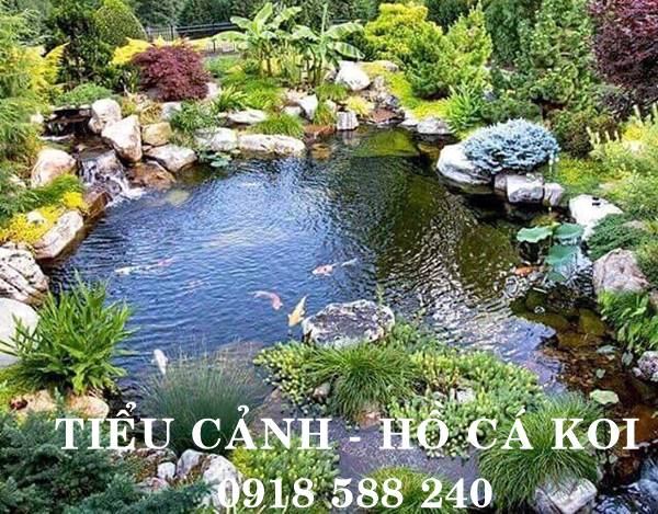 Thiết kế thi c&ocirc;ng hồ c&aacute; Koi tại Kon Tum